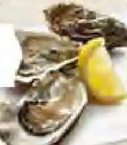 Edeka Frischemarkt Felsenaustern Angebot