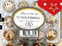 Edeka Frischemarkt Seidel Wachteleier Angebot