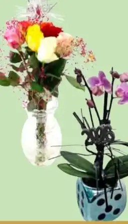 Edeka Silvesterstrauß Angebot