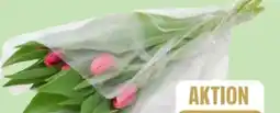 Edeka Tulpen-Strauß Angebot