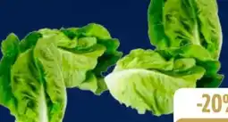 Edeka Romanasalatherzen Angebot