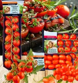 Edeka SanLucar Cocktail-Rispentomaten Angebot