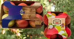 Edeka Unsere Heimat Tafeläpfel Elstar Angebot