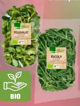 Edeka Edeka Bio Rucolasalat Angebot