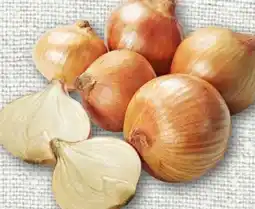 nahkauf Speisezwiebeln Angebot