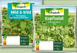 REWE Bonduelle Mild & Wild Angebot