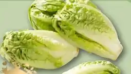 REWE Rewe Feine Welt Römersalat Extra fein Angebot