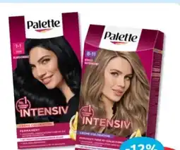 Budni Palette Intensive-Creme-Coloration Angebot