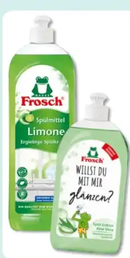 Budni Frosch Spülmittel Angebot