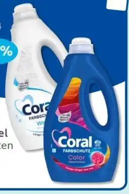 Budni Coral Waschmittel Angebot