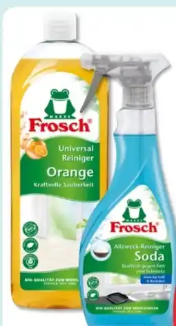 Budni Frosch Universalreiniger Angebot