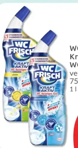 Budni WC Frisch Kraft Aktiv Reiniger Gel Angebot