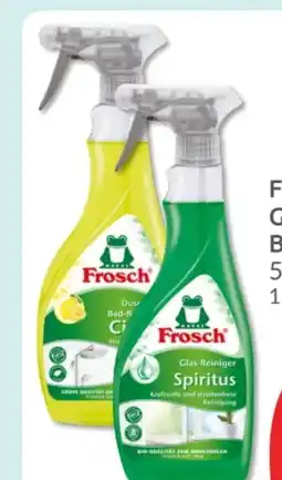 Budni Frosch Glas-Reiniger Angebot