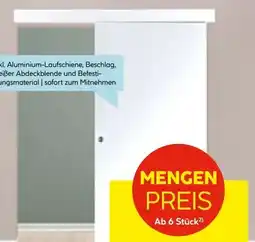 Hellweg Weißlack-Schiebetür Angebot
