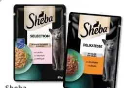 Budni Sheba Selection Angebot