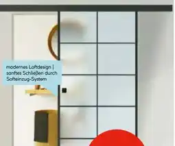 Hellweg Glasschiebetür-Set Loft Angebot
