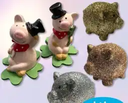 Budni Glücksbringer Angebot