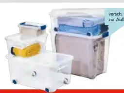 Hellweg Combi-Box Angebot