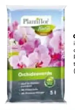 Hellweg Plantiflor Orchideenerde Angebot
