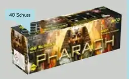 Hellweg Nico Feuerwerk Feuerwerksbatterie Pharaoh Angebot