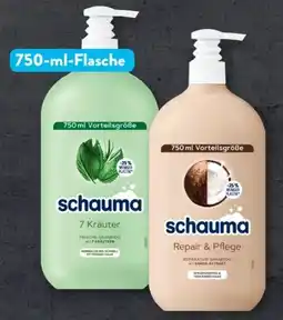 Aldi Süd Schwarzkopf Schauma Shampoo Angebot