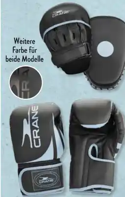 Aldi Süd Crane Boxhandschuhe Angebot
