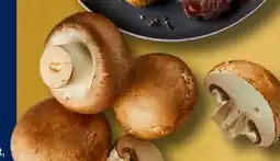 Aldi Süd Champignons Angebot