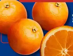 Aldi Süd Orangen Riesen XXL Angebot