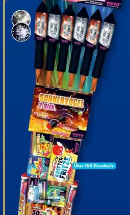 Aldi Süd Weco Feuerwerk Rainbow Fantasy Angebot