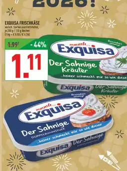 Marktkauf Exquisa der sahnige kräuter Angebot