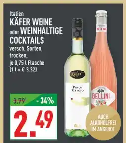 Marktkauf Käfer pinot grigio Angebot