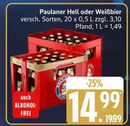 Marktkauf Paulaner hell Angebot
