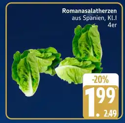 Marktkauf Romanasalatherzen Angebot