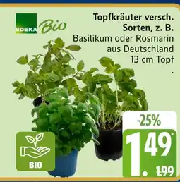 Marktkauf Edeka bio topfkräuter Angebot