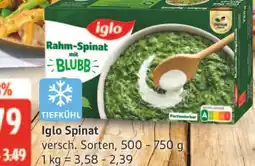 Marktkauf Iglo spinat Angebot