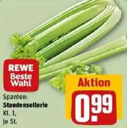 REWE Staudensellerie Angebot