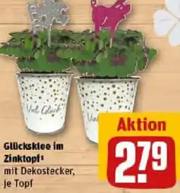 REWE Glücksklee im Zinktopf Angebot