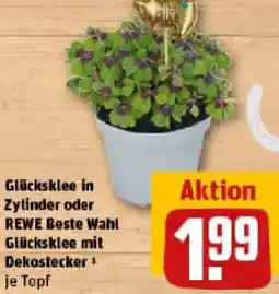 REWE Glücksklee in Zylinder oder REWE Beste Wahl Glücksklee mit Dekostecker Angebot