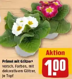 REWE Primel mit Glitzer Angebot