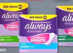 Aldi Nord Always Discreet Normal Angebot