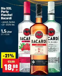 Thomas Philipps Die XXL Party Flasche! Bacardi Angebot