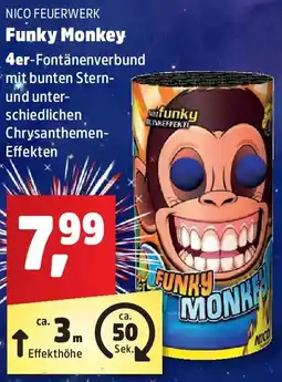Thomas Philipps NICO FEUERWERK Funky Monkey Angebot