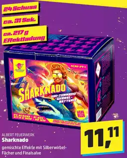 Thomas Philipps ALBERT FEUERWERK Sharknado Angebot