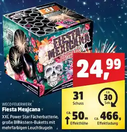 Thomas Philipps WECO FEUERWERK Fiesta Mexicana Angebot