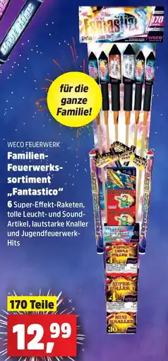 Thomas Philipps WECO FEUERWERK Familien Feuerwerkssortiment ,,Fantastico" Angebot