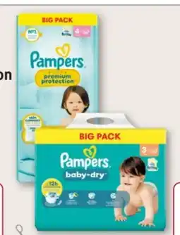 Rossmann Pampers Bigpack Windeln Angebot