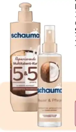 Rossmann Schwarzkopf Schauma Kur 5&5 Angebot