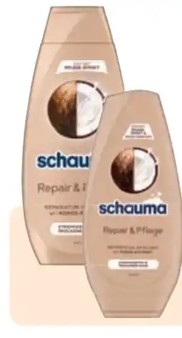 Rossmann Schwarzkopf Schauma Shampoo Angebot