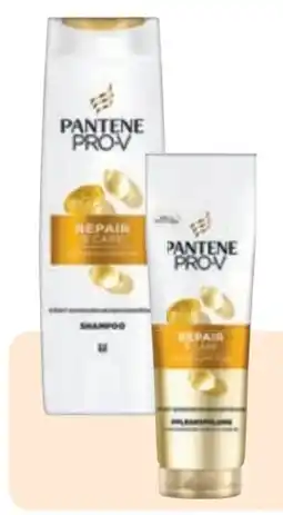 Rossmann Pantene Pro-V Shampoo Angebot