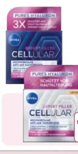 Rossmann Nivea Cellular Expert Filler Tagespflege LSF 30 Angebot